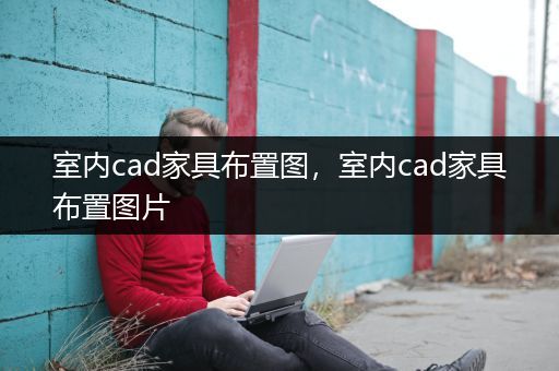 室内cad家具布置图，室内cad家具布置图片